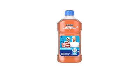 Best Of Is Mr Clean Safe For Pets