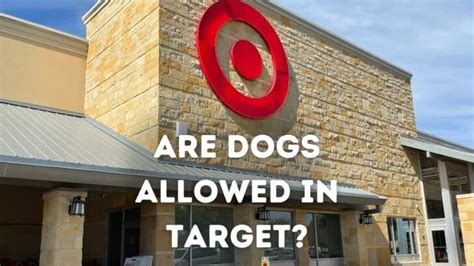Best Of Is Target Dog Friendly