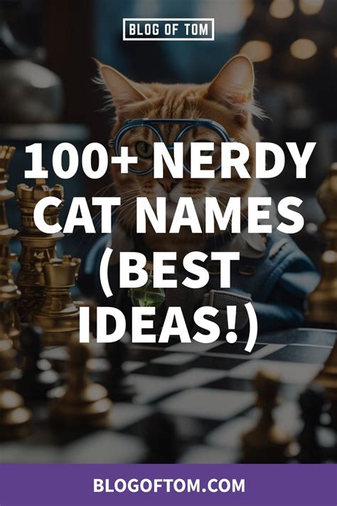 Best Of Nerdy Names For Cats