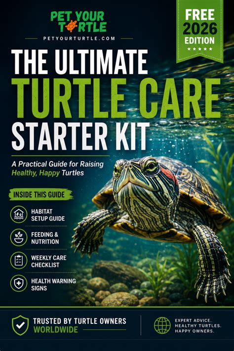 Best Of Pet Turtle Care Guide
