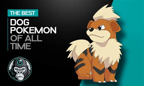 Best Of Pokemon Dog