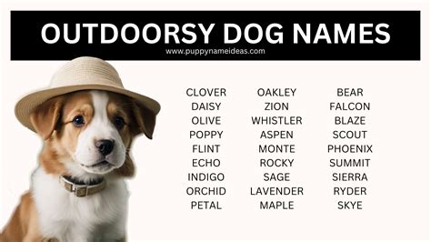 Best Outdoor Dog Names