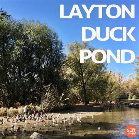 Discover the Splendor of Nature: Uncovering Hidden Gems in Davis County Utah Parks