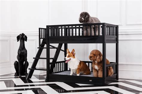 Best Pet Bunk Bed