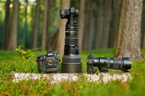 Best Phone Camera For Nature Photography