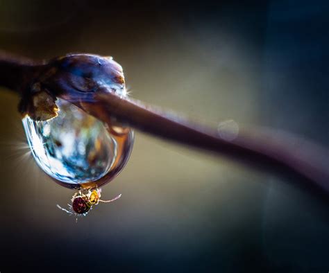 Best Photography Shots