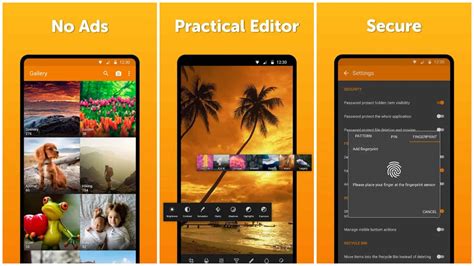 Best Pixel 6 Android Gallery App