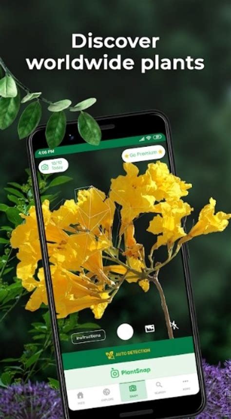 Best Plant Care Apps for Android and iOS