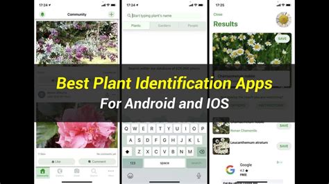 Best Plant Identification Apps for Android and iOS