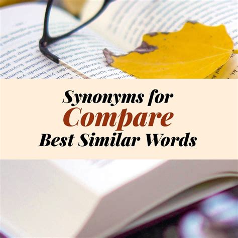 Best Policy Synonym Tips And Guide