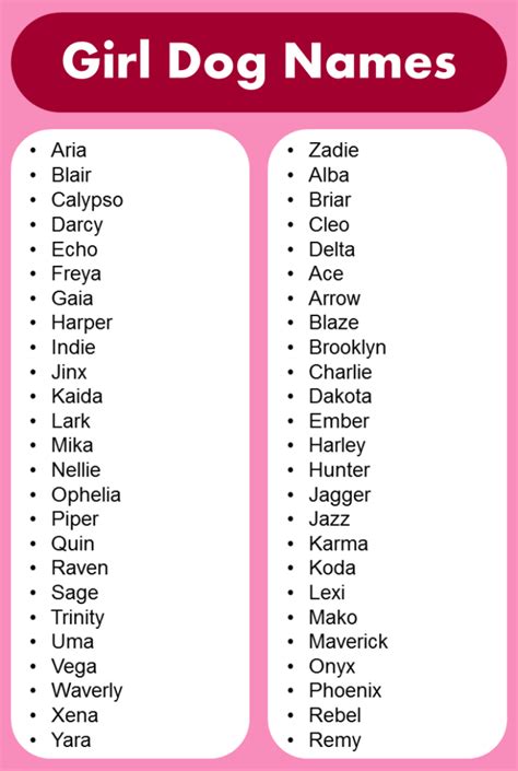 Best Popular Girl Dog Names