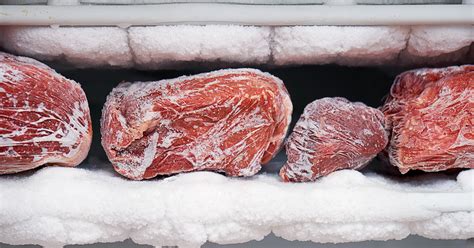 Best Practices for Freezing Deer Meat