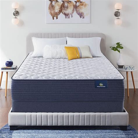 Best Queen Mattress In A Box