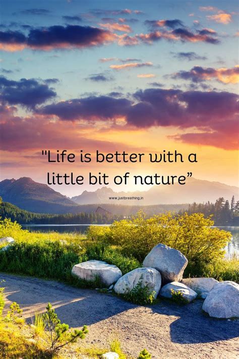 Best Quotes Related To Nature