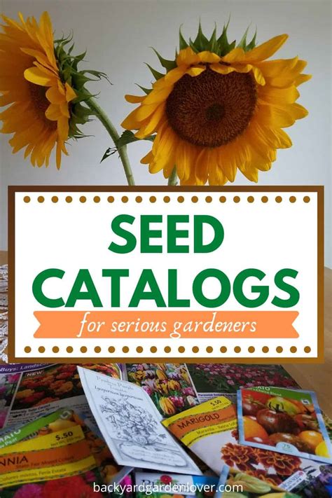 Best Seed Catalogs For Flowers