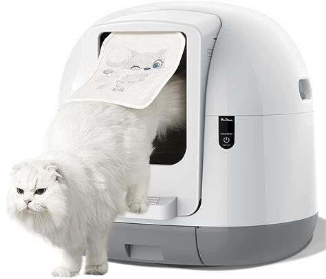 Eliminate Your Cat's Odor Stress: Discover the Ultimate Self-Cleaning Litter Box Solution!