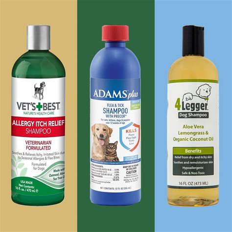 Best Shampoo For Dog Dry Skin
