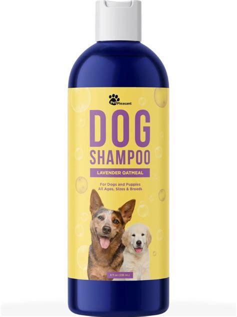 Skin Soothing Saviors: Discover the Best Shampoo for Dogs with Skin Allergies!