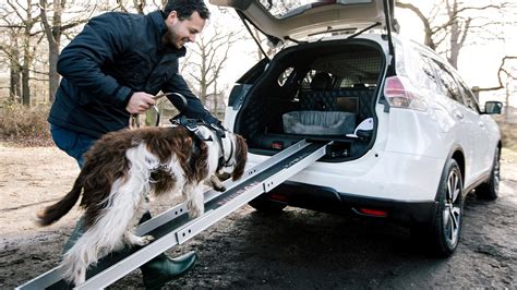 Best Suv For Dogs
