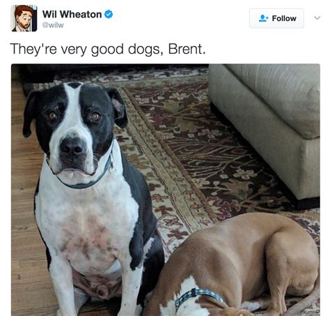 Best They Re Good Dogs Brent
