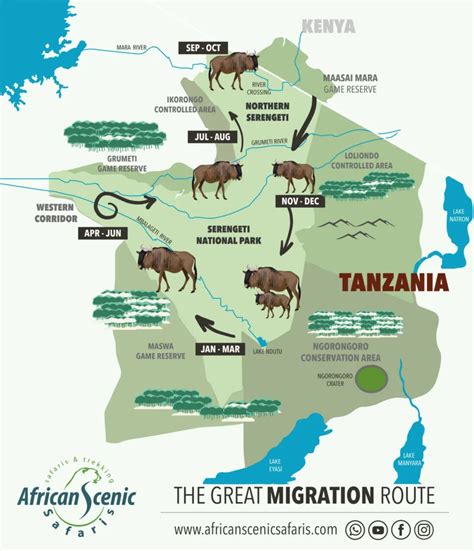Best Time Serengeti Migration