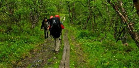 Best Time To Visit Abisko
