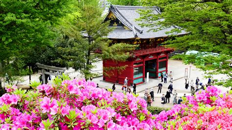 Best Time Yanaka
