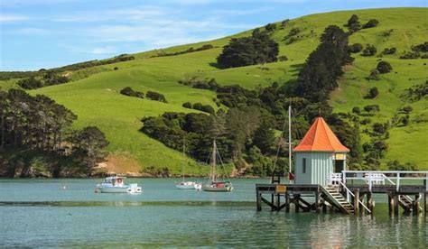 Best Time to Visit Akaroa