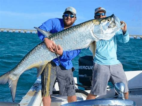 Best Times to Fish in Key Largo