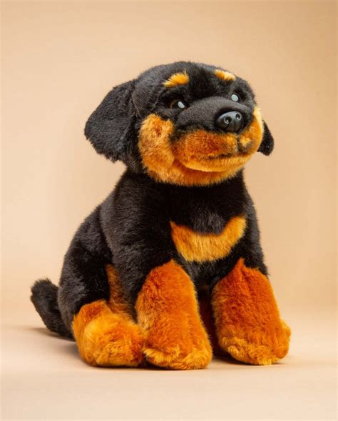 Best Toy Rottweiler For Sale