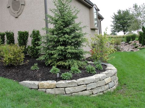 Best Trees For Retaining Walls In 2023
