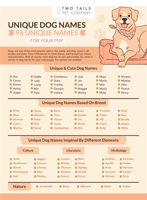 Best Unusual Dog Names