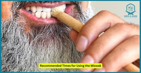 Best Use Miswak Reviews At Fasting