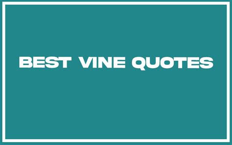 Best Vine Quotes