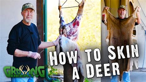 Unleash Your Inner Hunter: Master the Art of Deer Skinning with The Ultimate Guide to Best Techniques!