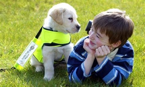 Best Which Dog For My Autistic Child