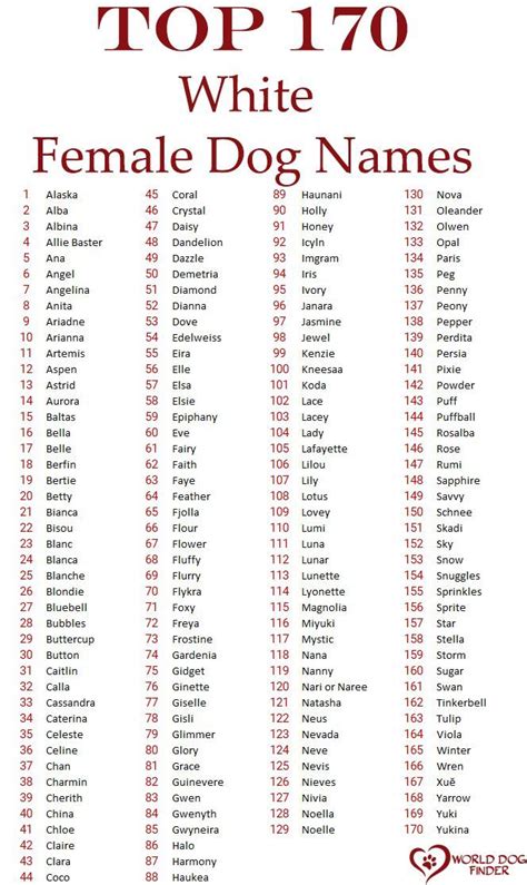 Best White Female Dog Names