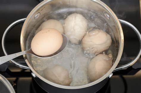 Best eggs for hard boiling