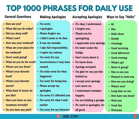 Best for Everyday Use and Value