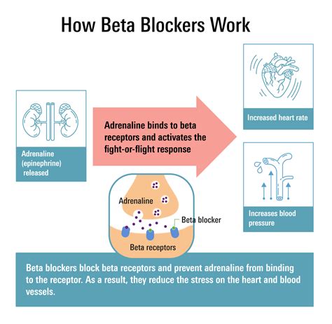 Adverse Effects of Beta Blockers PharmaFactz