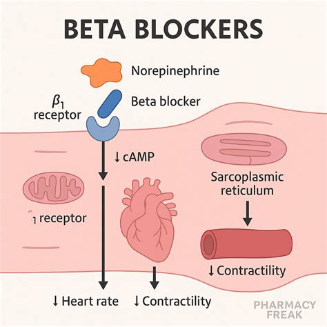 Beta-Blockers: Reducing Fluid Production