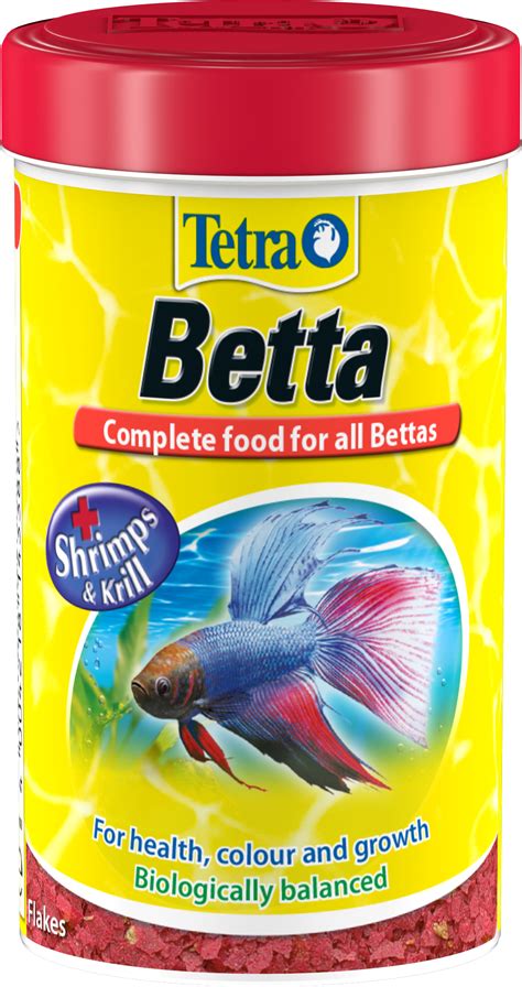 Betta And Tetra