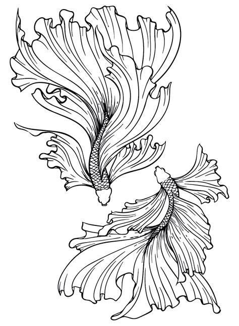 Betta Fish Coloring Pages