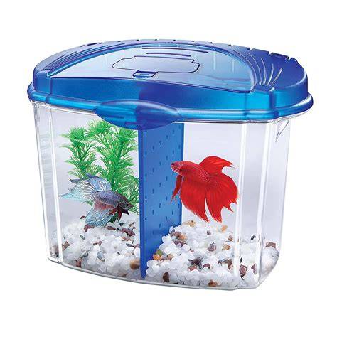 Betta Fish Containers