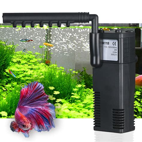 Betta Fish Filter Tank
