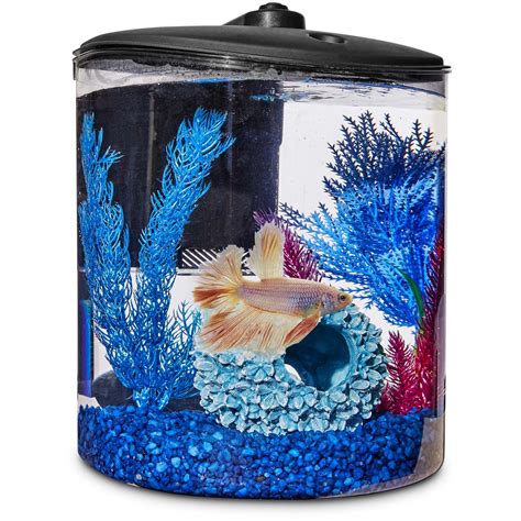 Betta fish food and accessories