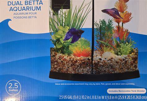 Betta Fish For Sale Petsmart
