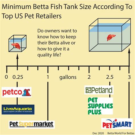 Betta Fish Minimum Tank Size