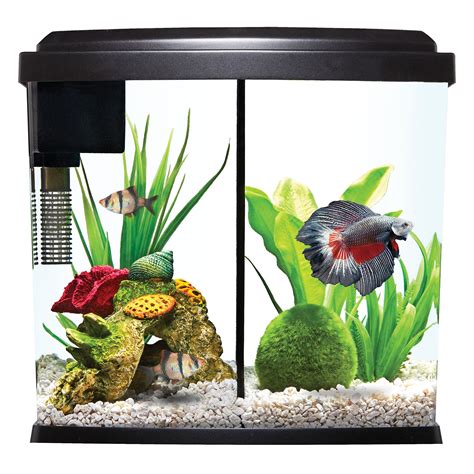Betta Fish Tank from PetSmart