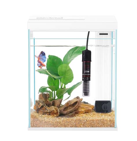 Betta Fish Tank With Heater And Filter